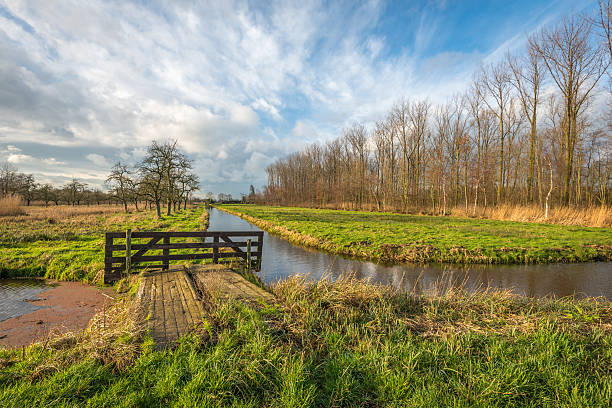 istock Colorful autumn landscape with a wooden gate 505100770