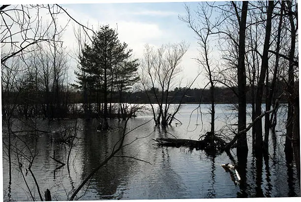 Photo of Reservoir at High Water in late Winter