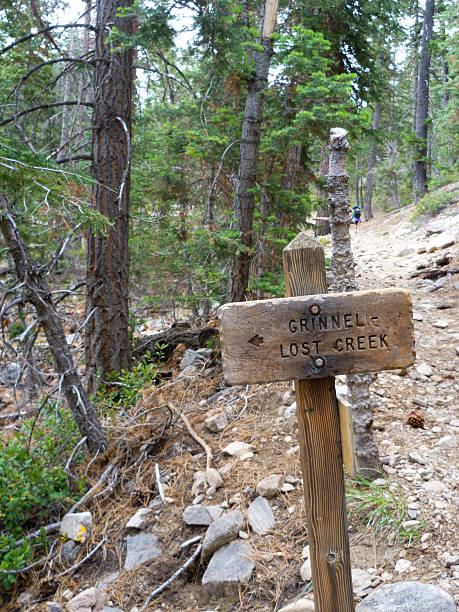 istock Crossroads, Hiking Path on Mountains in a Forest 505115405