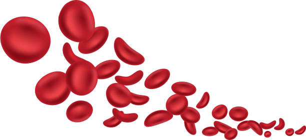 illustrazioni stock, clip art, cartoni animati e icone di tendenza di cellule del sangue - antithrombin