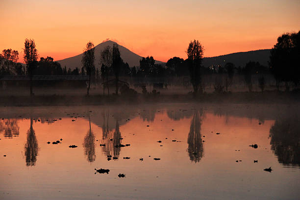 xochimilco-pictures-download-free-images-on-unsplash