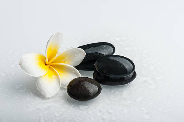 istock Spa theme - stones and a Plumeria flower 505117759