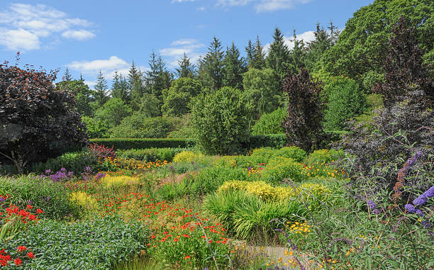 Vivid, vibrant coloured flowerbed in a traditional garden in Devon. stock photo
