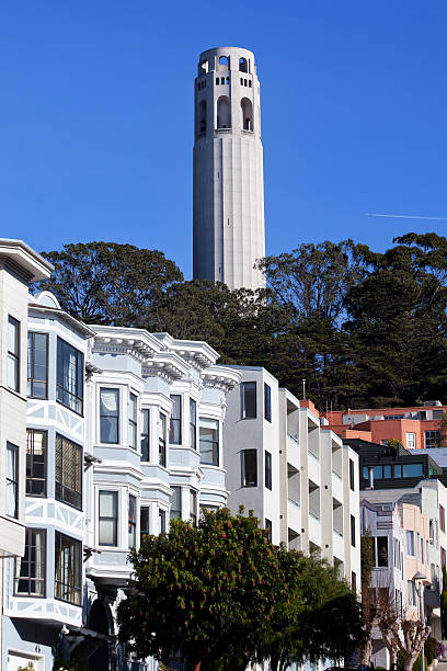 istock Coit Tower Row Houses San Francisco California 505119769