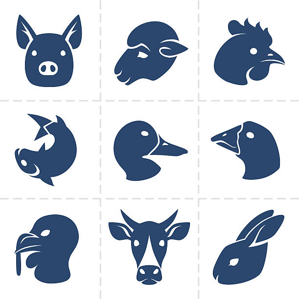meats icons Collection of nine blue vector meats icons. goose meat illustrations stock illustrations
