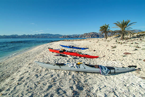 kayaks sur isla del carmen - carmen island photos et images de collection