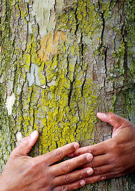 African american man holding a tree outside.