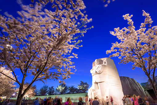 Washington DC, USA - April 12, 2015: Crowds view cherry blossoms from below the memorial to  Martin Luther King, Jr. in West Potomac Park.