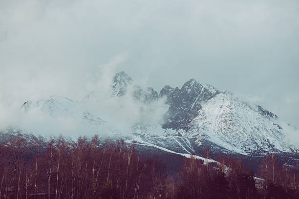 istock Winter landscape, High Tatras view from Stara Lesna. Filtered image. 505127044
