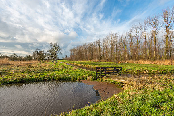 istock Colorful autumn landscape with a wooden gate 505127546