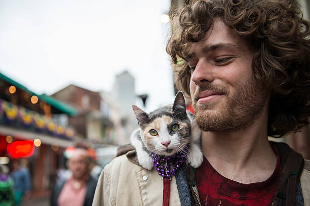 hombre y pet cat en mardi gras de nueva orleans - domestic cat city life animal pets fotografías e imágenes de stock