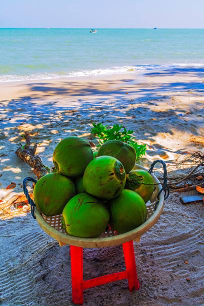 кокосовый напиток на пляж - sandy brown day the americas north america стоковые фото и изображения
