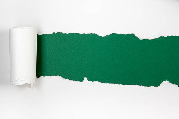 istock Ripped paper, space for copy, green inside white 505132908