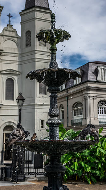 istock New Orleans Saint Louis Cathedral Fountain 505138486