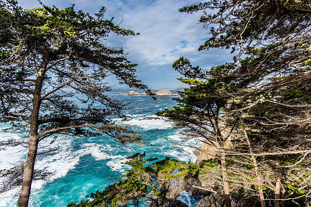 istock California Coastline Big Sur Blue Pacific 505138942