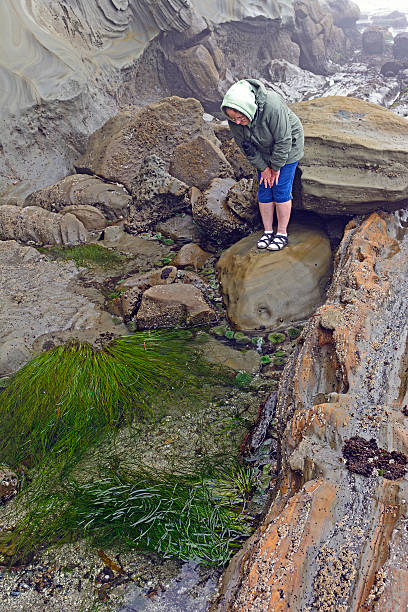 istock Looking at the Tide Pools at low tide 505139218