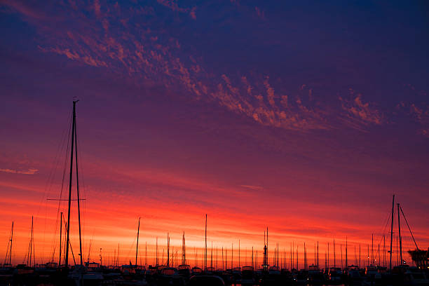 istock forrest of masts at sunset 505139470