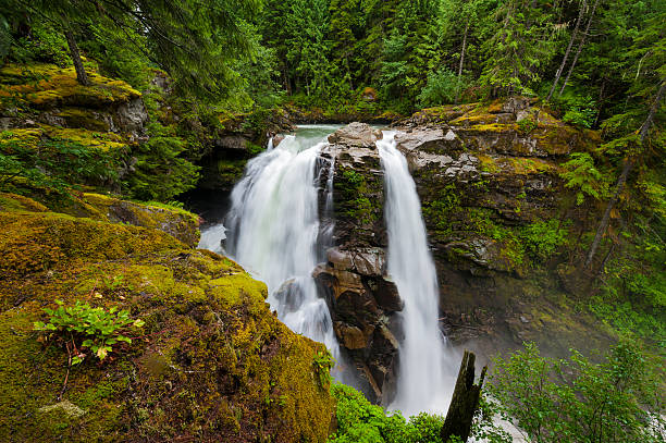 nooksack falls. - north cascades national park cascade range mt baker waterfall photos et images de collection