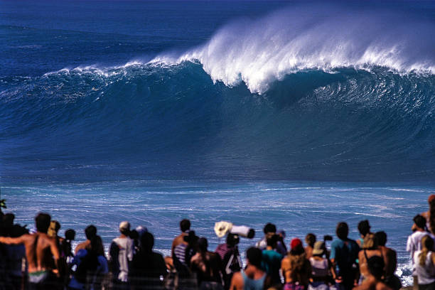 istock Big waves at Waimea Bay 505141795