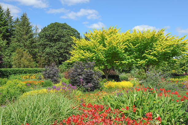 istock Vivid, vibrant coloured flowerbed in a traditional garden in Devon. 505142769