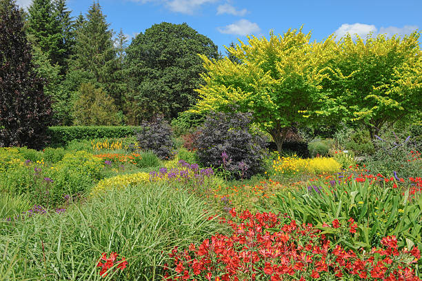 istock Vivid, vibrant coloured flowerbed in a traditional garden in Devon. 505142773