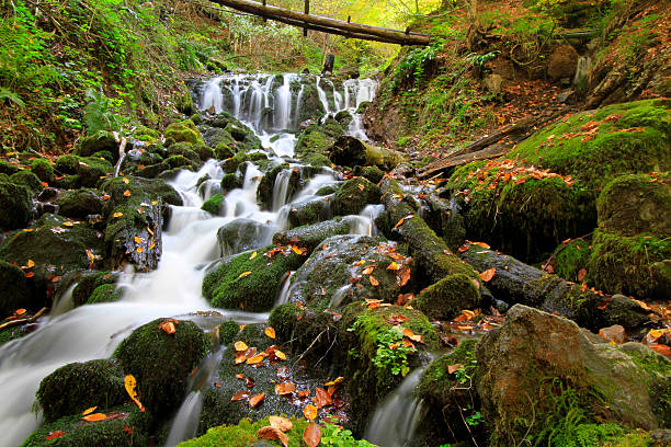 herbst-stream - natural phenomenon waterfall rock tranquil scene stock-fotos und bilder