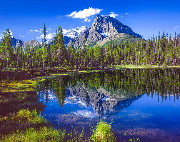 istock Alpine lake in Banff National Park, Alberta Canada 505159496