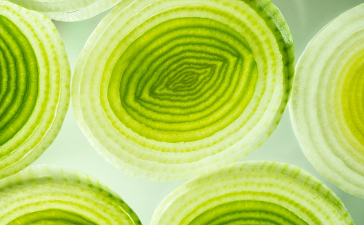 A macro photo of some colorful green and yellow leek slices.  I used a black light to bring out the colors and textures.
