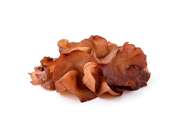 istock Black Fungus (Jew's Ear Mushroom ) on white background 505161146