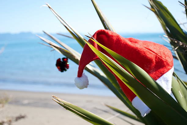 Kiwiana Christmas Themed Image