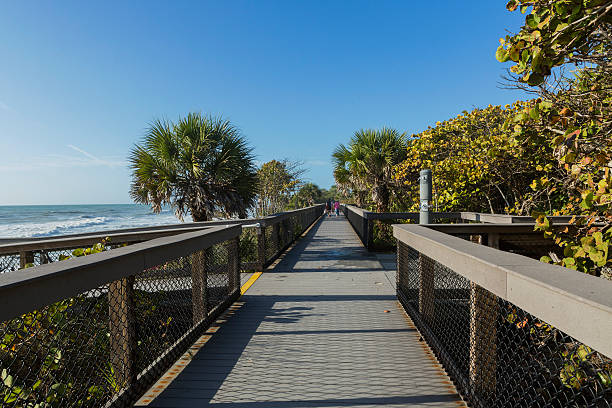 istock Wooden path to the beach 505165048