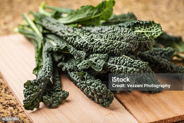 Vibrant Bunch Of Freshly Harvested Lacinato Kale Stock Photo - Download Image Now - Kale, Cabbage, Crucifers