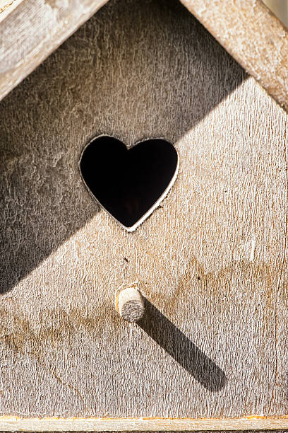 istock wooden bird house 505168692