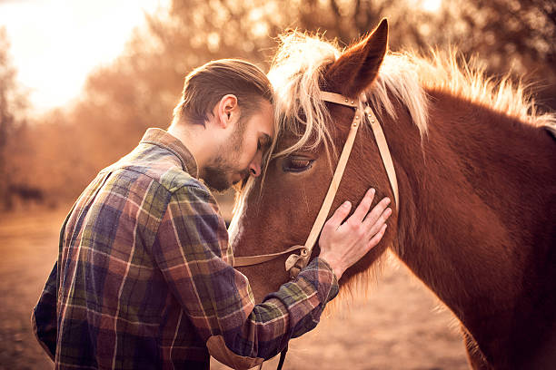 junger mann umarmt ein pferd. herbst-outdoor-szene - tier streicheln stock-fotos und bilder