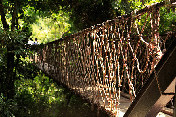 istock Suspension bridge in the forest 505172156