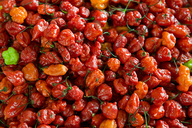 istock Many red chili peppers close up background 505172244