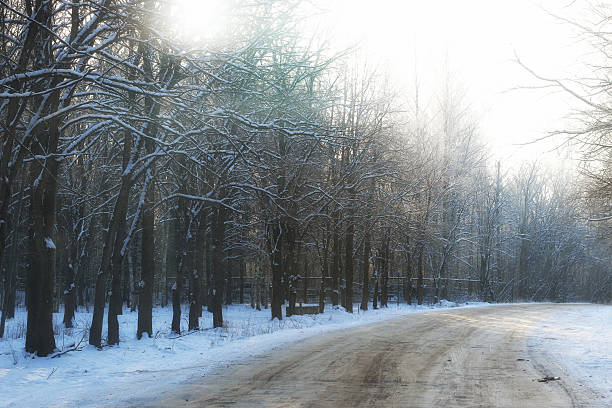 istock winter road through the woods 505172904