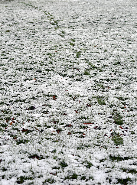 istock Footsteps in a shallow snow over grass 505174316