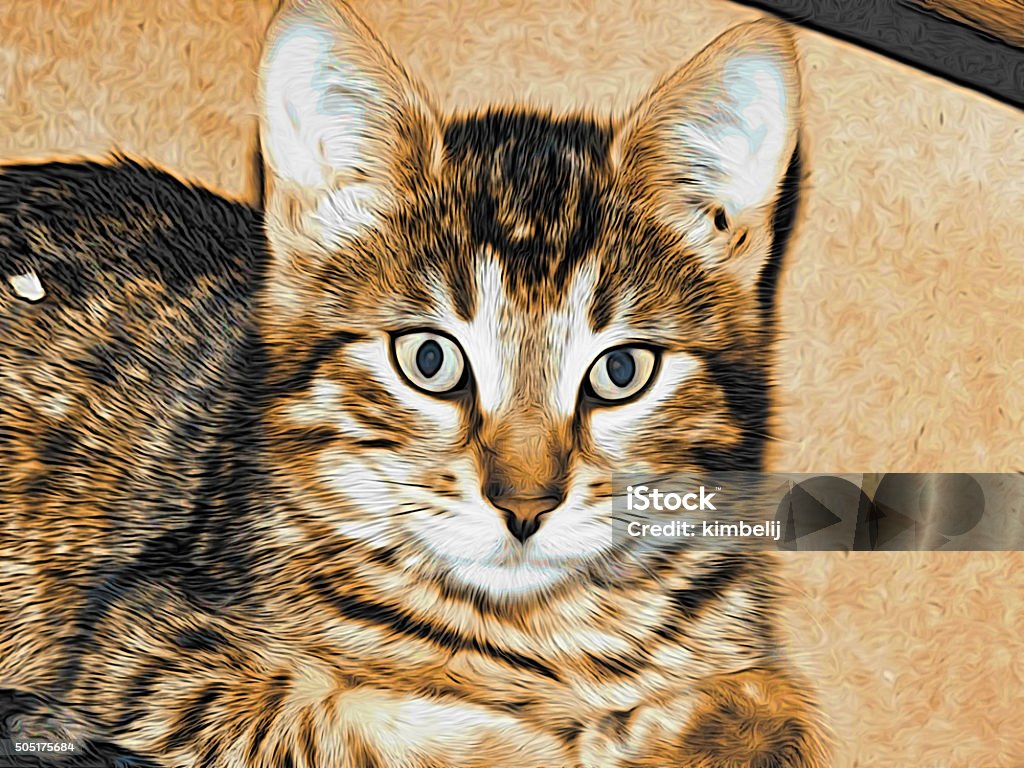Figure Bengal cat on canvas Animal Stock Photo
