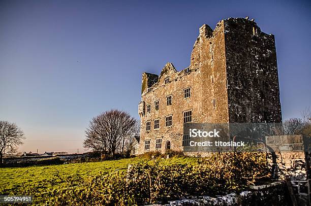 Ruins Of Leamaneh Castle Stock Photo - Download Image Now - Agricultural Field, Blue, Castle
