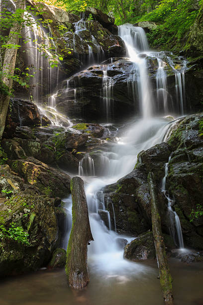 istock Water Falls in Shenandoah National Park 505195357