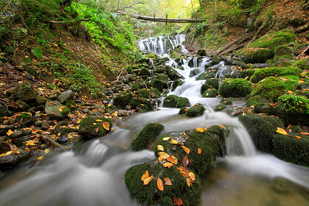 tropischen regenwald und den fluss - natural phenomenon waterfall rock tranquil scene stock-fotos und bilder