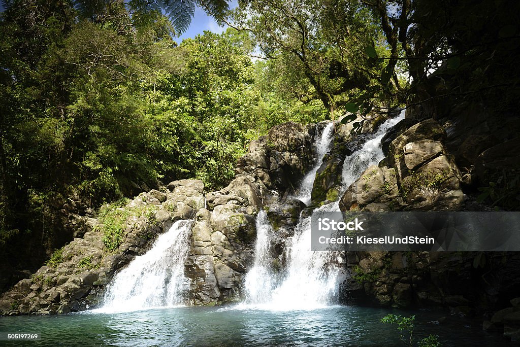 Dschungel-Wasserfall - Lizenzfrei Taveuni Stock-Foto