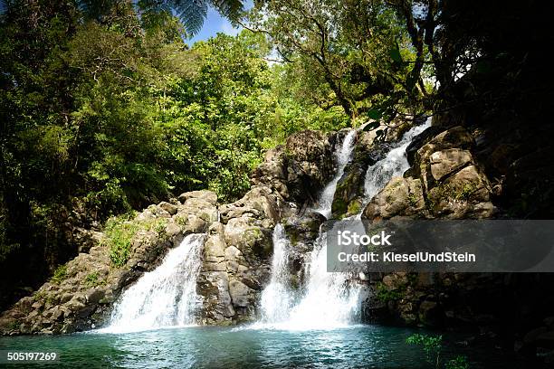 Dschungelwasserfall Stockfoto und mehr Bilder von Taveuni - Taveuni, Fidschi, Tropischer Regenwald