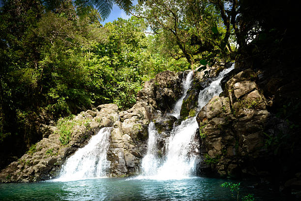 Jungle Waterfall A waterfall in Fiji, deep in the jungle of the island of Taveuni. taveuni stock pictures, royalty-free photos & images