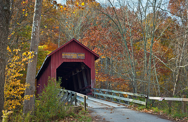 feijão florescer ponte coberta - indiana autumn woods forest imagens e fotografias de stock