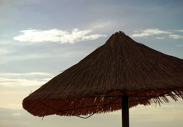 istock Straw sun umbrella in the sunset sky 505199885