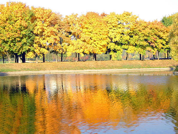 istock autumn in city park 505200041