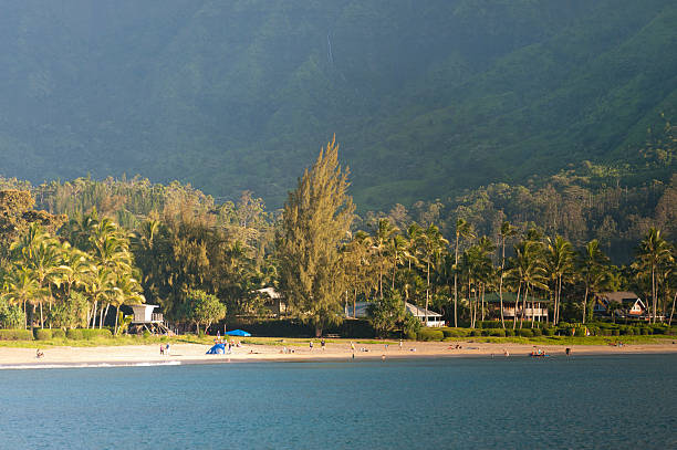 istock Tranquil beach scene at Hanalei Bay in Hawaii 505200487