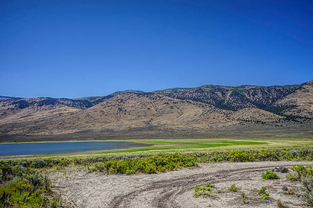 50+ Mann Lake Photos Stock Photos, Pictures & Royalty-Free Images - iStock